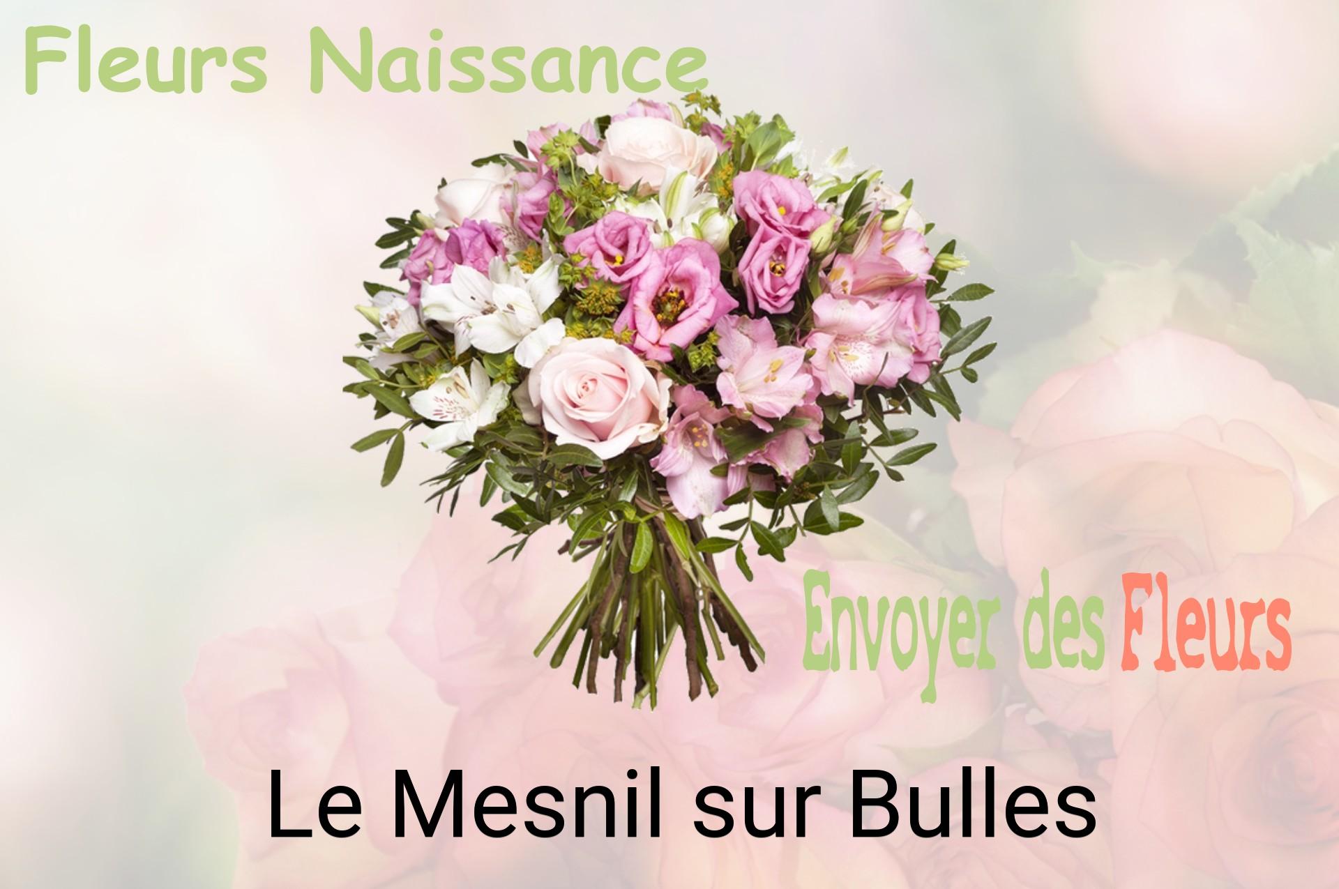 Bouquet de fleurs de naissance livré à Le Mesnil-sur-Bulles